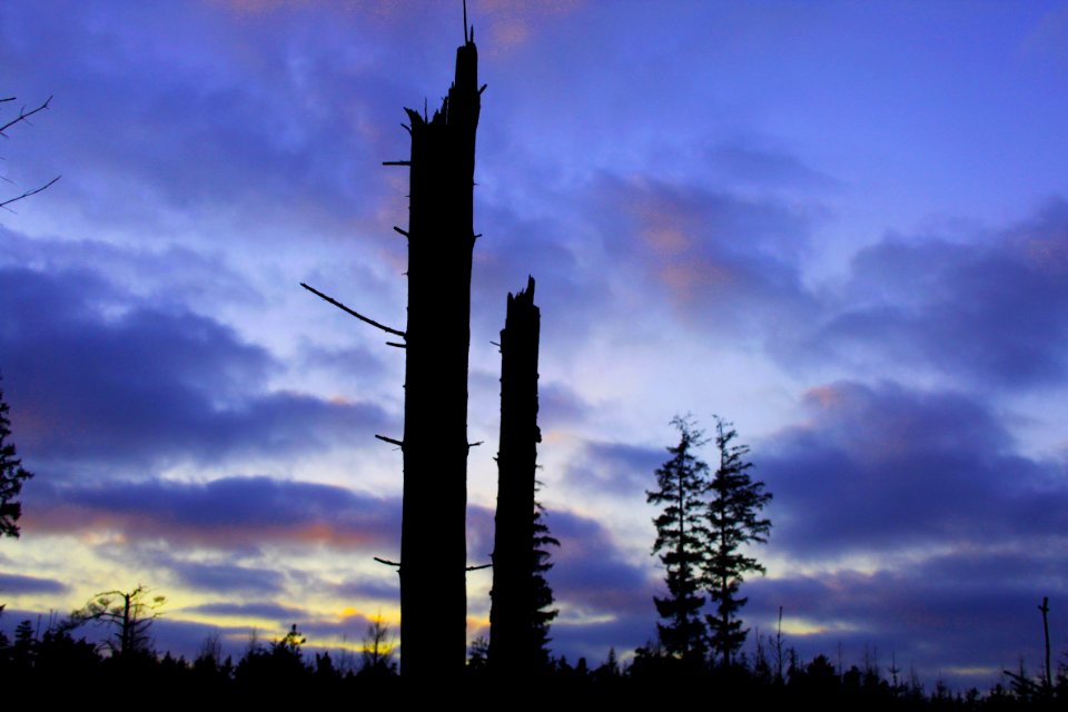 Nature, Bluesky, Sky