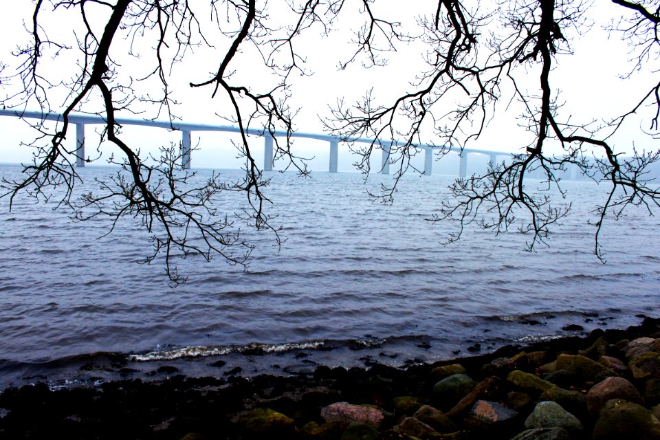 Vejle, Danmark, Branch