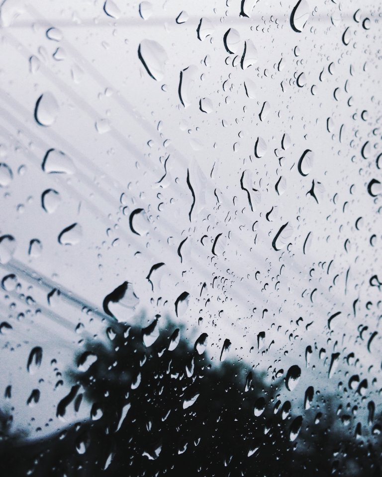Window, Raindrop, Rain