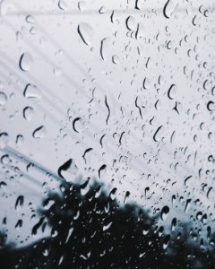 Window, Raindrop, Rain photo