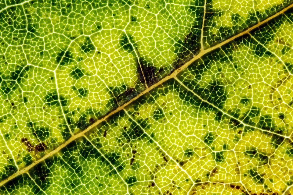 Zagreb, Croatia, Texture