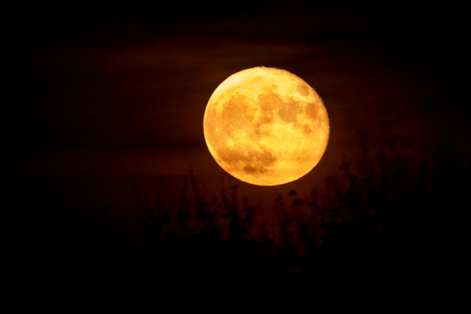 Cheese moon, Moonrise, Lunar