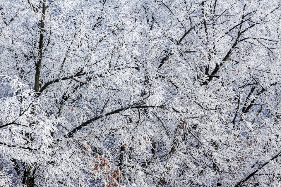 Zagreb, Croatia, Nature