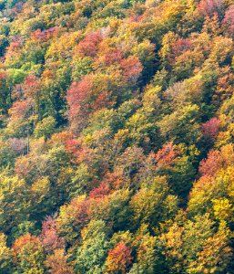 Medvednica, Sljeme, Croatia