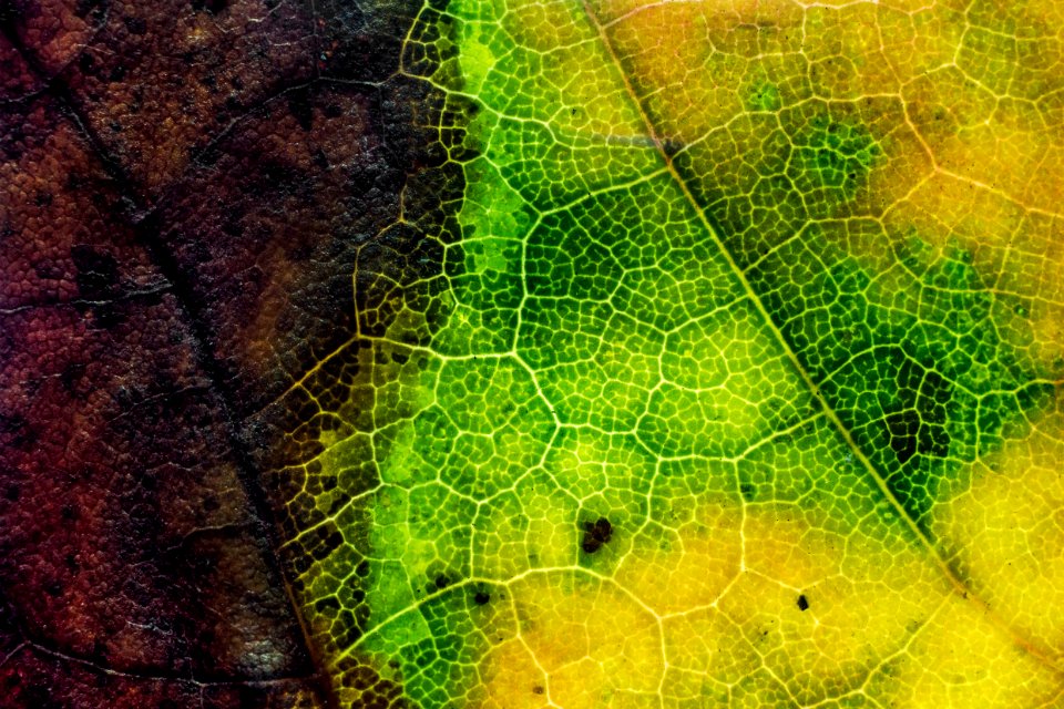 Zagreb, Croatia, Yellow
