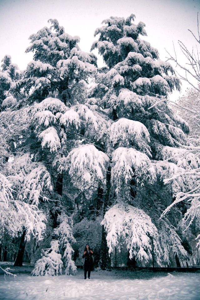 Dushanbe, Tajikistan, Snowy