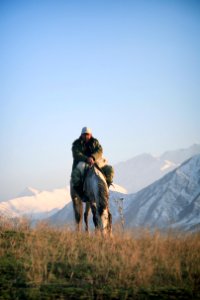 Kyrgyzstan, Mountains, Horse