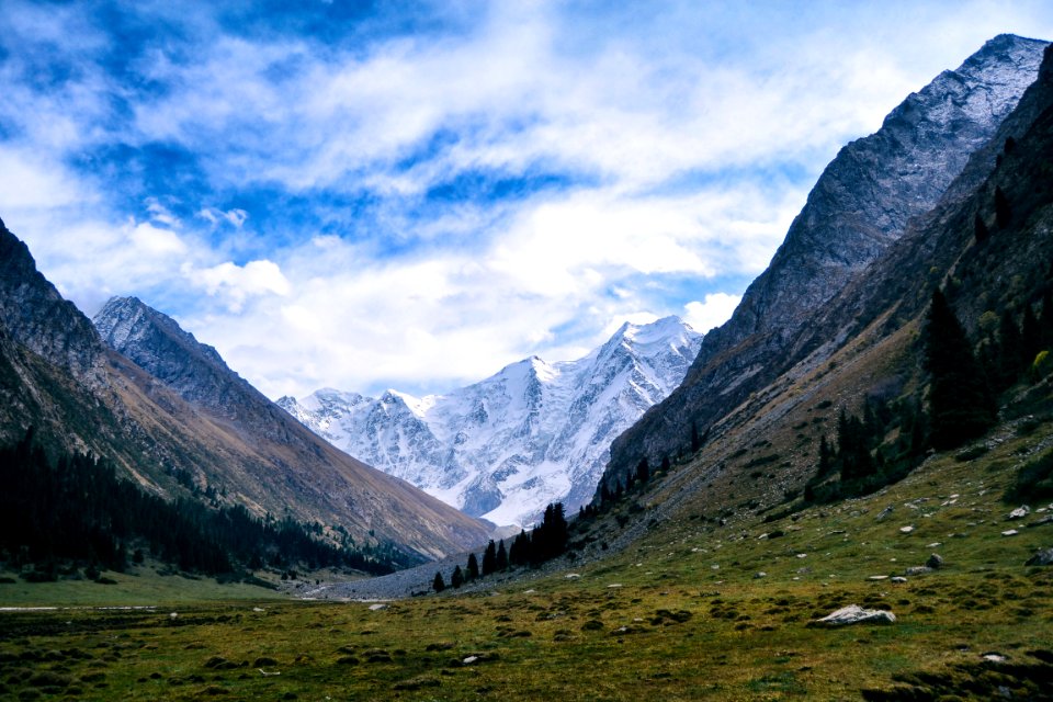 Kyrgyzstan, Field, Forest photo