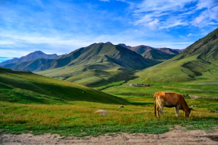 Kyrgyzstan, Song kul, Farm