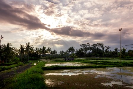 Bali, Indonesien, Rays