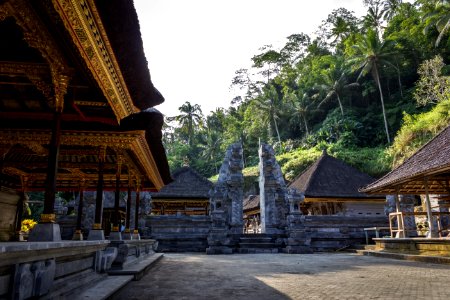 pagoda tower near tall trees