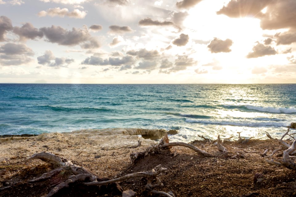 Silence, Waves, Tree