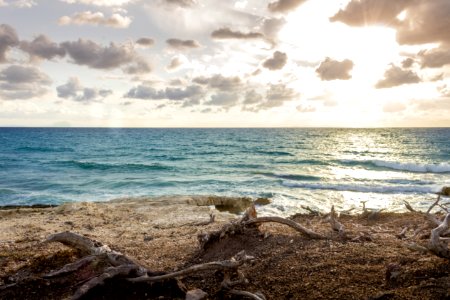 Silence, Waves, Tree