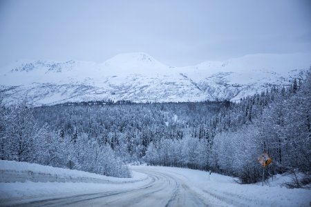 Denali state park, Trapper creek, United states photo