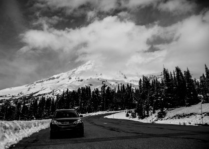 Mount rainier national park, Washington, Usa photo