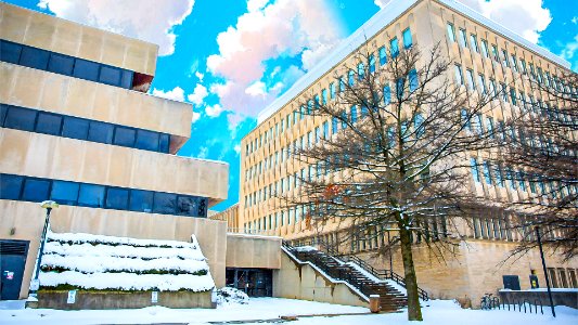 School of public  environmental affairs, Public, Environmental affairs