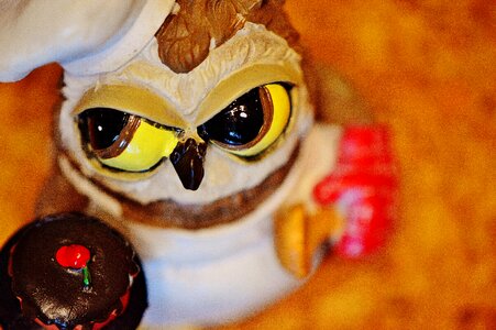 Cupcake cute funny
