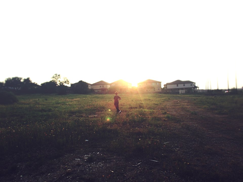 Field, Sunset