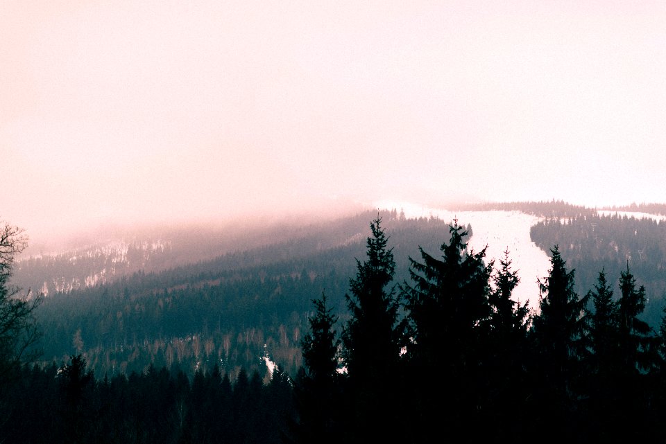 aerial photo of forest and river under cloudy sky at daytime