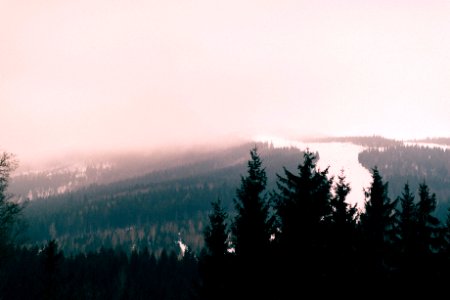 aerial photo of forest and river under cloudy sky at daytime