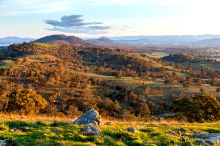 Goorooyarroo nature reserve, Thros