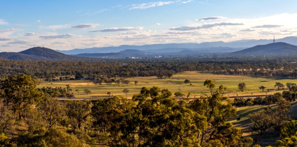 Canberra, Australia, Forest photo