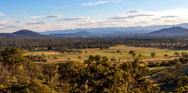Canberra, Australia, Forest