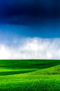 Spring, Blue, Nature