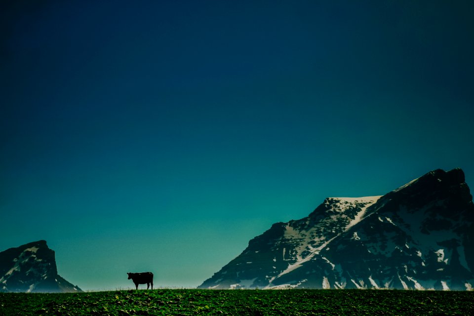 Nature, Blue, Composed
