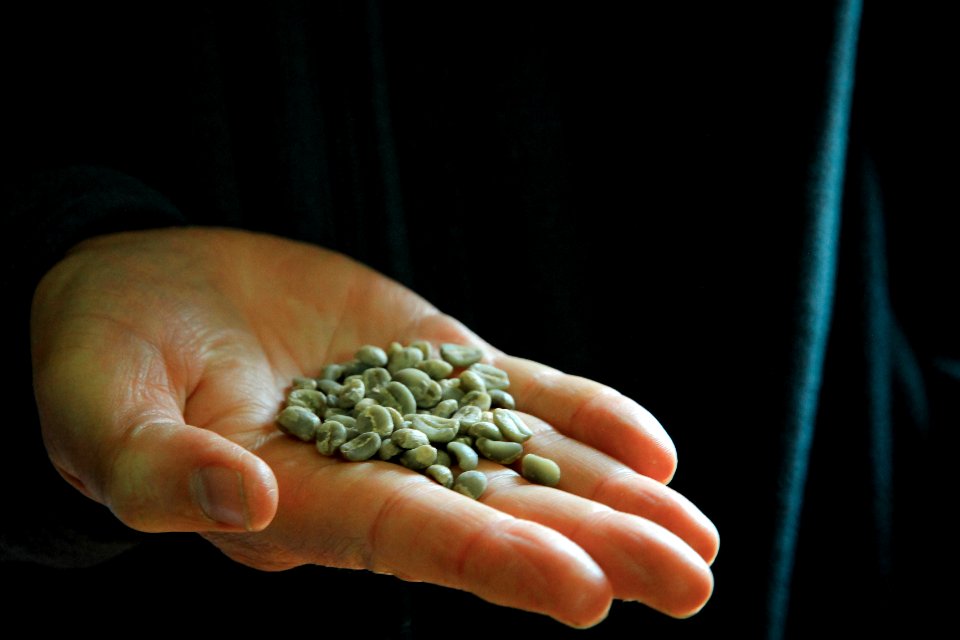 Guatemala, Agriculture, Farm