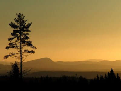 Silhouettes sunset wilderness