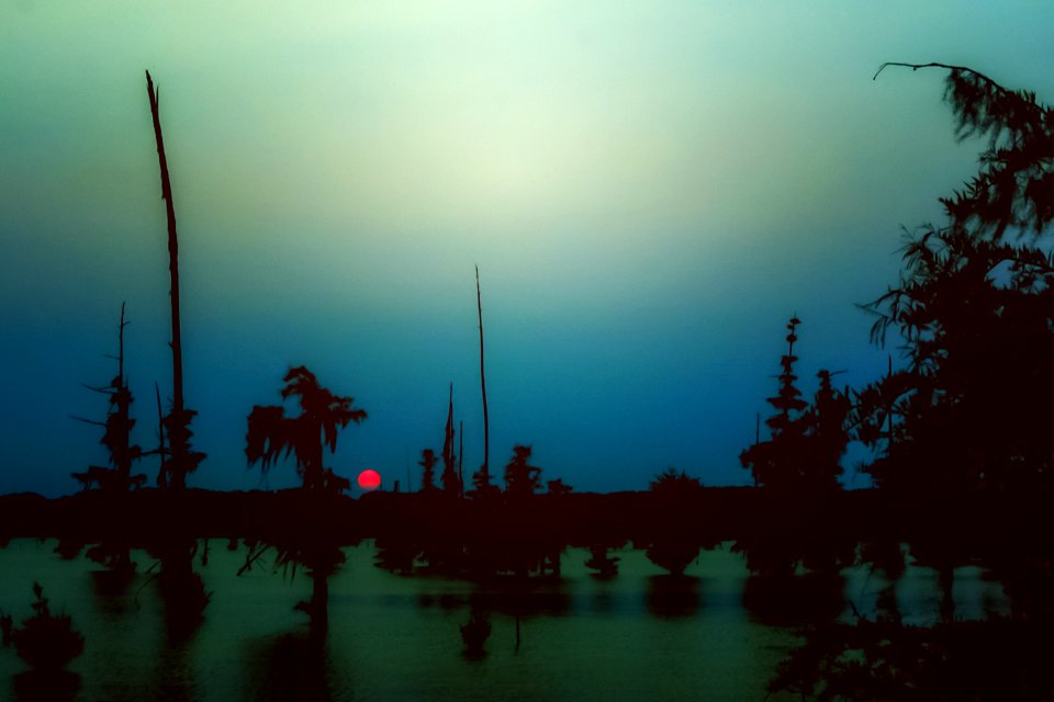 Americus, United states, Silhouette