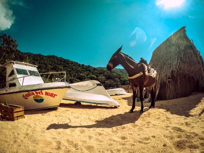 Yelapa, Mexico, Horse