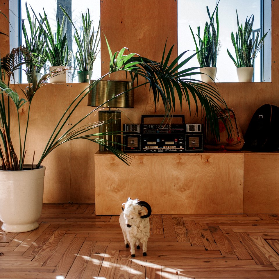 House, Vintage, Abstract