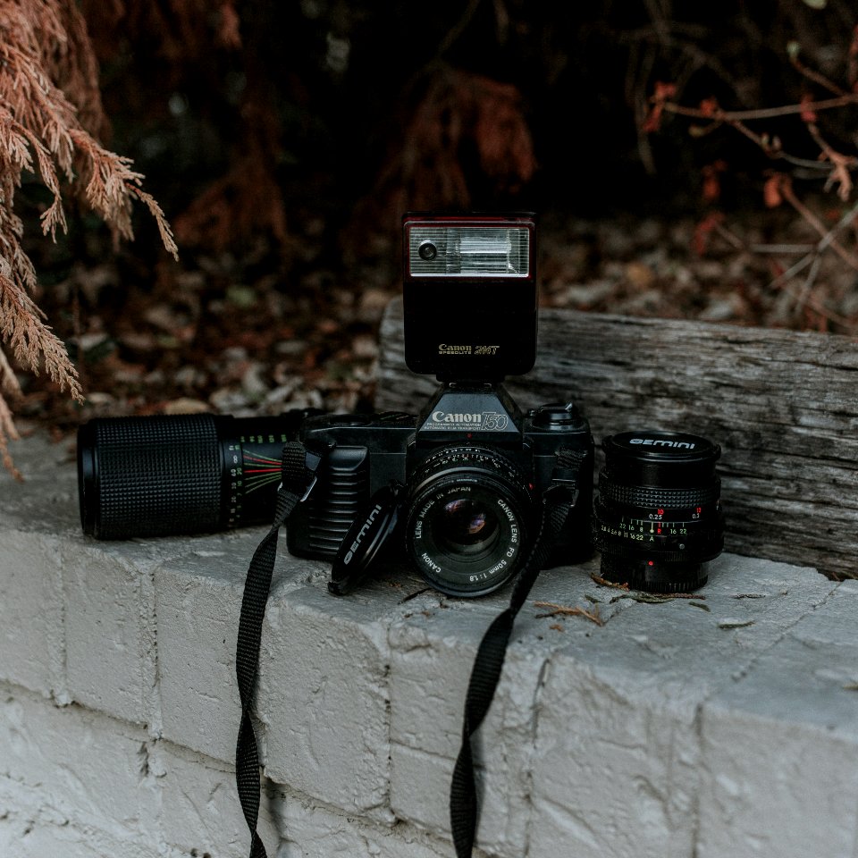 black Canon DSLR camera