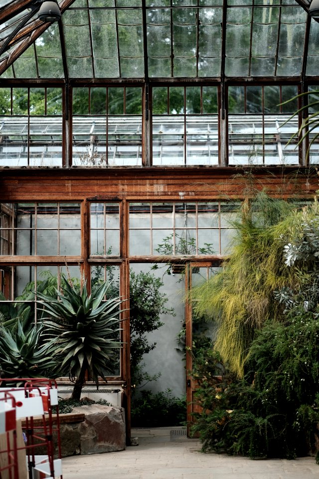 indoor house with glass window photography
