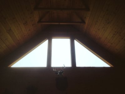 Cabin, Morning, Natural light photo