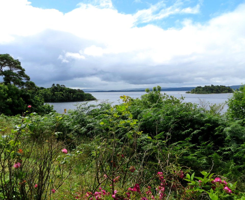 Irel, Lough corrib, Corrib