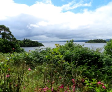 Irel, Lough corrib, Corrib