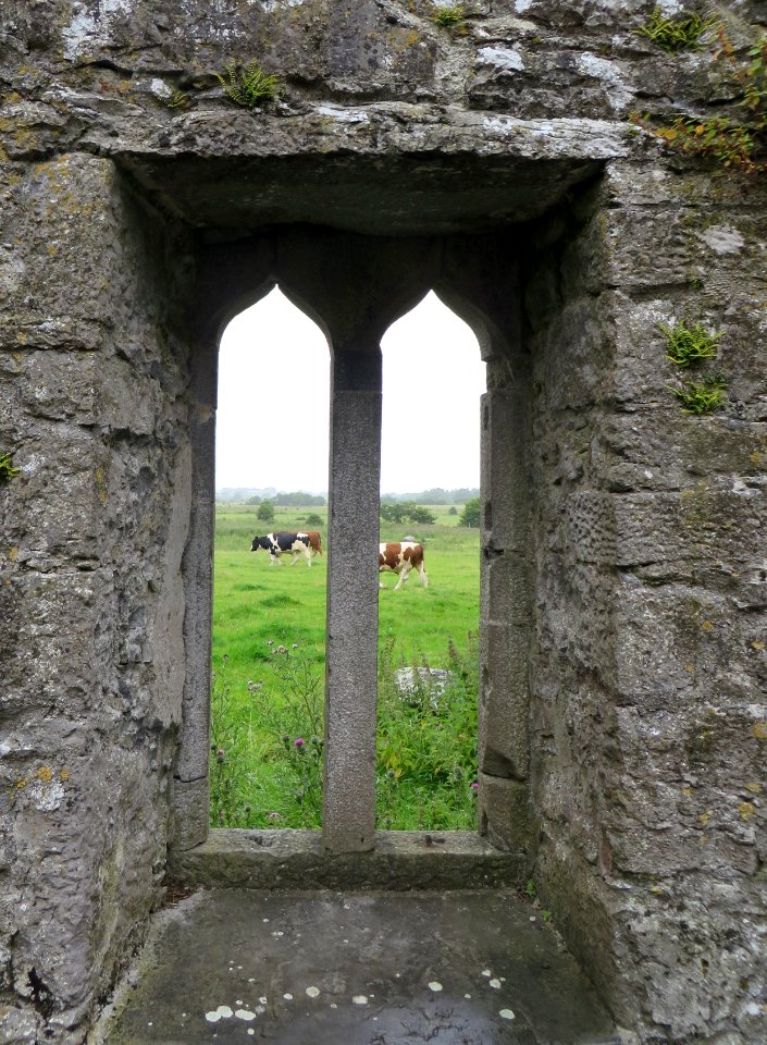 Irel, Nature, County galway