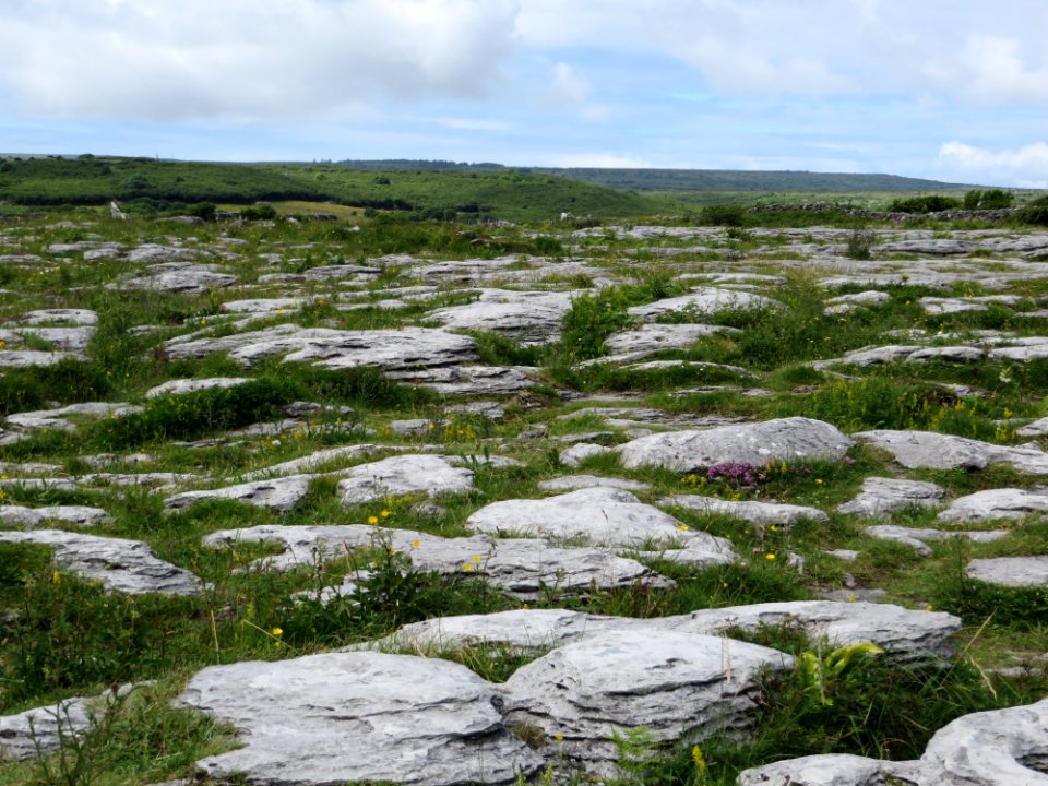 The burren, Irel, Rocks