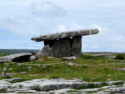 Nature, The burren, Irel
