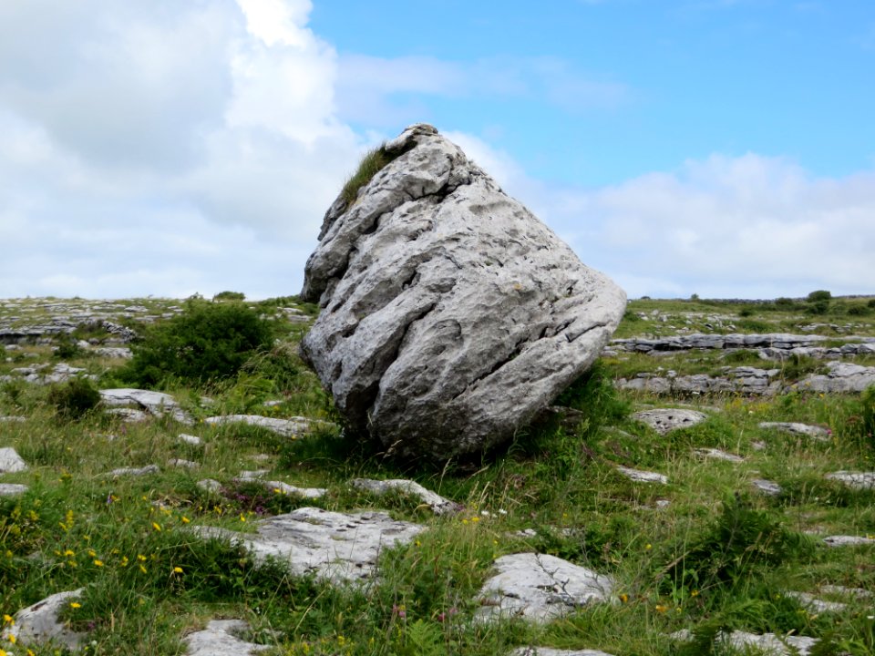 Irel, The burren, Grass
