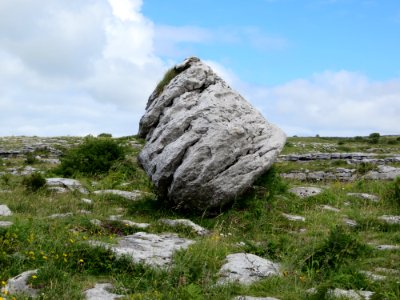 Irel, The burren, Grass