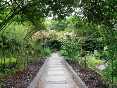 Irel, Outdoors, Nature