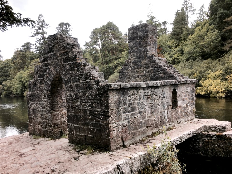 Cong, Irel, Forest