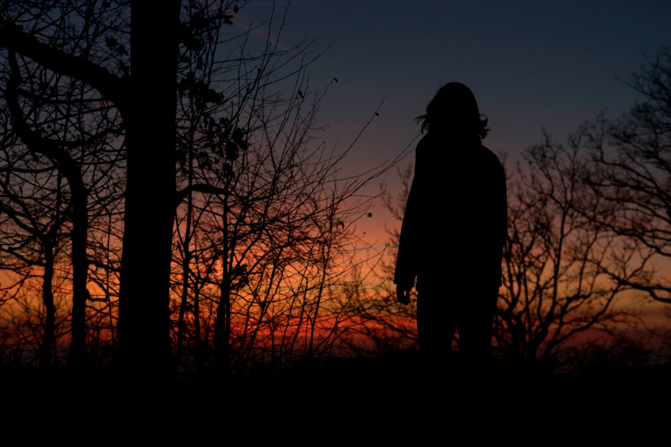 silhouette photo of a woman on sunset