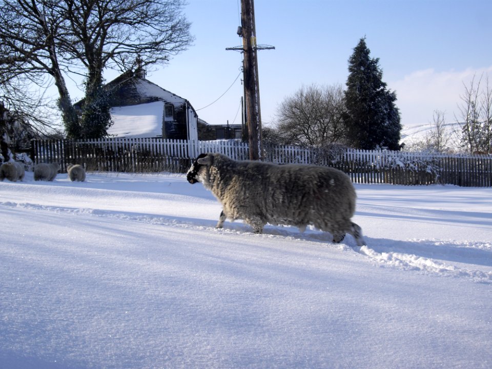 Slaithwaite, United kingdom, Winter