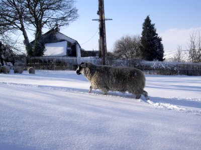 Slaithwaite, United kingdom, Winter