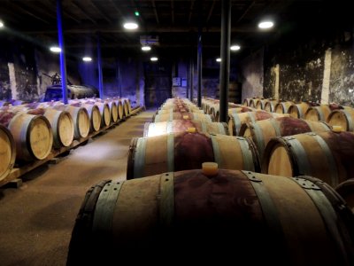 Burgundy, France, Cellar photo